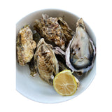 Japanese Hyogo/Iwate Oysters ~110g (Sashimi-Grade Oysters from Hyogo Prefecture) カキ (PROMO)
