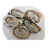 Japanese Hyogo/Iwate Oysters ~110g (Sashimi-Grade Oysters from Hyogo Prefecture) カキ (PROMO)