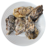 Japanese Hyogo/Iwate Oysters ~110g (Sashimi-Grade Oysters from Hyogo Prefecture) カキ (PROMO)