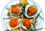 Japanese Hyogo/Iwate Oysters ~110g (Sashimi-Grade Oysters from Hyogo Prefecture) カキ (PROMO)