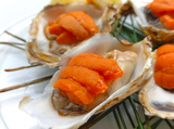 Japanese Hyogo/Iwate Oysters ~110g (Sashimi-Grade Oysters from Hyogo Prefecture) カキ (PROMO)