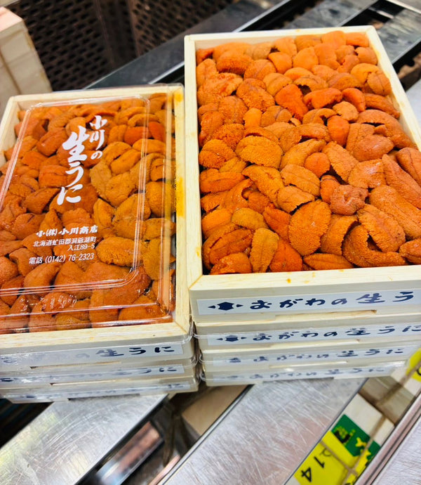 OGAWA Red Bafun Bara Uni (250g) お任せ並びウニ Grade AA (MAX 5 DAYS DELIVERY WINDOW UPON ORDER)