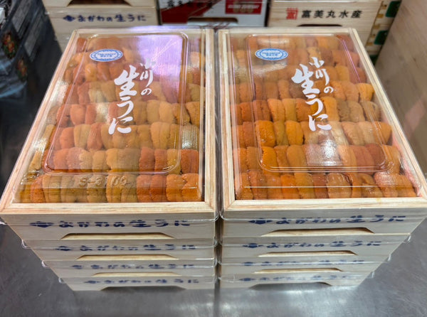 OGAWA Bafun Narabi Uni (250g) お任せ並びウニ Grade AA (MAX 5 DAYS DELIVERY WINDOW UPON ORDER)