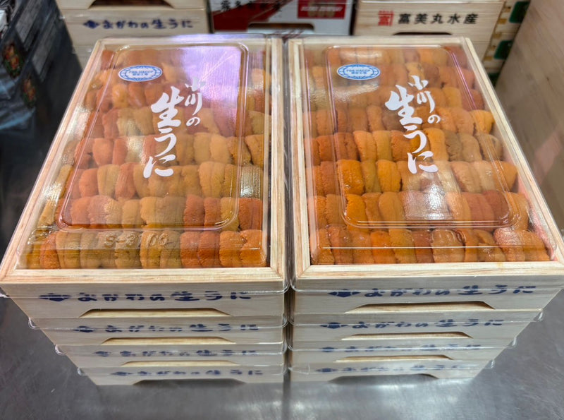 OGAWA Bafun Narabi Uni (250g) お任せ並びウニ Grade AA (MAX 5 DAYS DELIVERY WINDOW UPON ORDER)